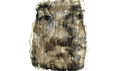 Sehgewohnheiten